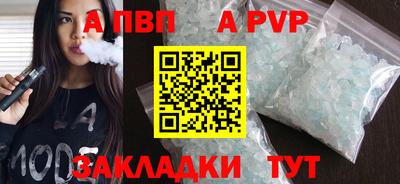 мет Кингисепп