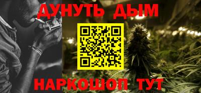 мет Кингисепп