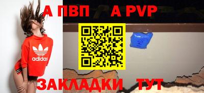 мет Кингисепп